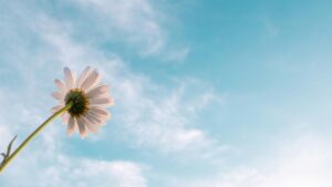 Remember that hope is not only appropriate but essential