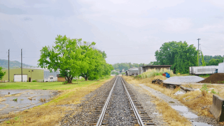 Train tracks in Fletcher, NC