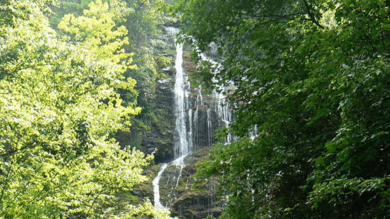 We serve adolescent patients and their families from the Cherokee, NC area and beyond